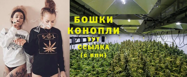 ПСИЛОЦИБИНОВЫЕ ГРИБЫ Липки
