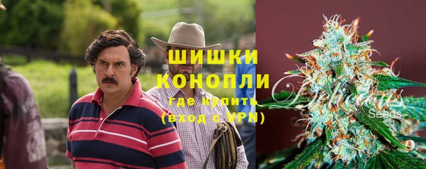 спиды Зеленокумск
