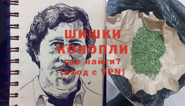 ПСИЛОЦИБИНОВЫЕ ГРИБЫ Липки