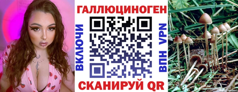 shop Telegram  где можно купить наркотик  Железногорск-Илимский  Галлюциногенные грибы Magic Shrooms 